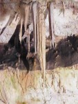 DSCF2547