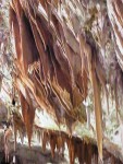 DSCF2558