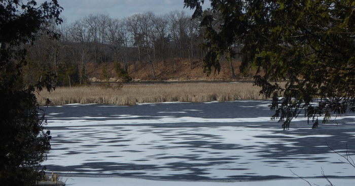 Spring Thaw