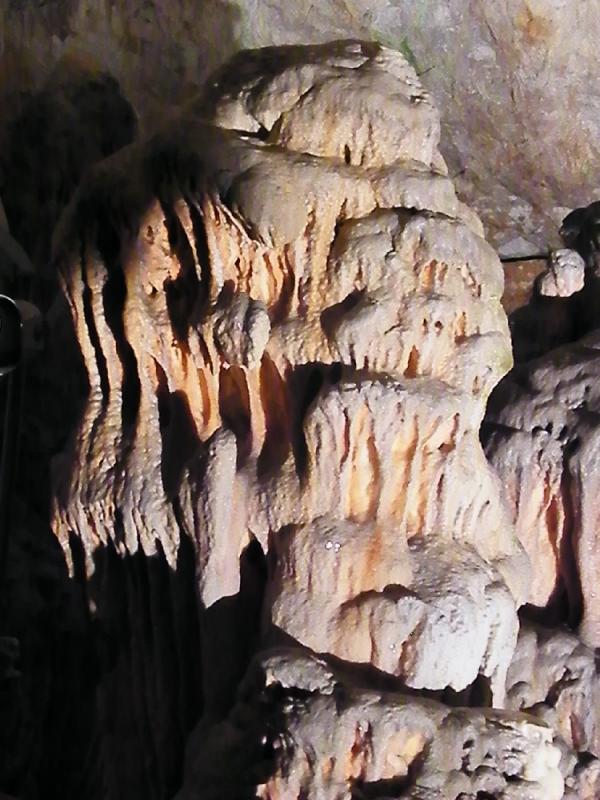 DSCF2548